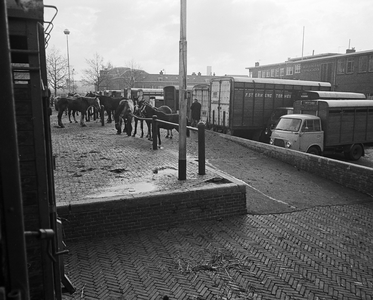 851555 Afbeelding van enkele paarden bij het veilinggebouw op het Veemarktplein te Utrecht, vermoedelijk tijdens de ...